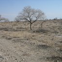 ���� Iogann, ������ - ��������� 7 ������� 2012 � ������ ���� ����������