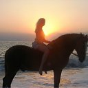 ���� �������, ���� - ��������� 29 ������� 2011 � ������ ���� ����������