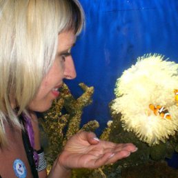 �������, ������, 52 ����