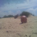  Dmitriy,   -  22  2013    