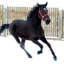 ���� "@����", �����-���������, 25 ��� - ��������� 26 ��� 2010 � ������ �������