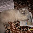  , --, 34  -  9  2009   