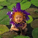 ���� ������, ����, 52 ���� - ��������� 3 ������ 2011 � ������ ���� ����������