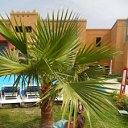 ���� �������, �����������, 42 ���� - ��������� 6 ������� 2012 � ������ �������