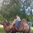 ���� �����, �����-���������, 56 ��� - ��������� 22 ������� 2012 � ������ ���� ����������