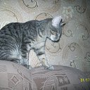 ���� �����*34, ������� - ��������� 4 ������� 2010 � ������ �����ʻ