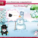  ,  -  13  2010   PetLove