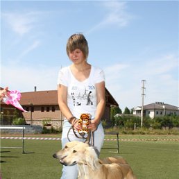 ���� ����, ��������� - ��������� 8 ������� 2010