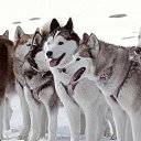 ���� "@����", �����-���������, 25 ��� - ��������� 6 ������� 2010 � ������ ��@��� �@��� �@��Ȼ