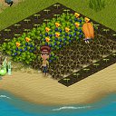 ������������ �� ������� �Tropikania�