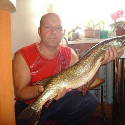 Ygor, �������, 64 ����