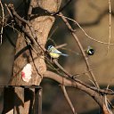 ���� �����, ������, 67 ��� - ��������� 11 ����� 2012 � ������ ���� ����������