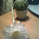 ���� ����, �����, 28 ��� - ��������� 17 ���� 2011 � ������ �������