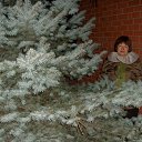 ���� �������, ������, 57 ��� - ��������� 27 ������ 2011 � ������ ���� ����� ߻