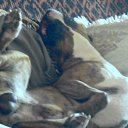 ���� ����, ������, 64 ���� - ��������� 20 ���� 2010