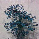 ���� ����, �����������, 63 ���� - ��������� 18 ������ 2010 � ������ ���� ���������