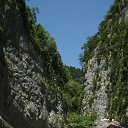  , , 47  -  7  2010   - 2010