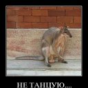 ���� �����-������, ������ - ��������� 27 ��� 2012 � ������ �������������