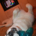 ���� �������, ����-�������, 50 ��� - ��������� 1 ��� 2013 � ������ ��������-�������