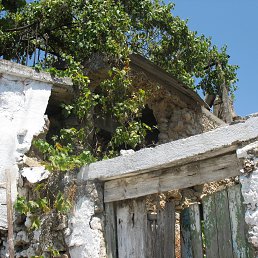 ���� ������, ������ - ��������� 27 �������� 2012