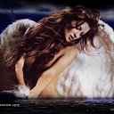  , , 56  -  18  2010   ....