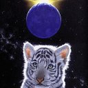  , , 45  -  14  2010   ?!