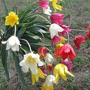 ���� Valerij, ������� - ��������� 12 ������ 2013 � ������ ������ ��������