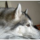 ���� "@����", �����-���������, 25 ��� - ��������� 6 ������� 2010 � ������ ��@��� �@��� �@��Ȼ