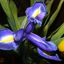 ���� �������, ������� ����, 64 ���� - ��������� 2 ���� 2013 � ������ �����������....�