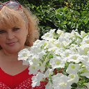 ���� ˸��, ������ - ��������� 21 ���� 2012 � ������ �������