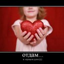 ���� ��������, ����-��� - ��������� 8 ��� 2011 � ������ �:))�