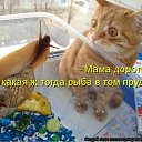 ���� ����, �����, 50 ��� - ��������� 1 ��� 2010 � ������ ������������