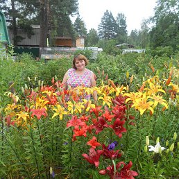 ���, �������, 42 ����