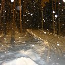 ���� ����, ������ �������� - ��������� 11 ������� 2011 � ������ ����� 2011-2012�.�