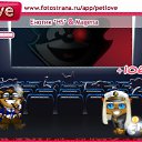 ���� ������, ����, 53 ���� - ��������� 14 ������� 2010 � ������ �PetLove�