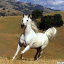 ���� �����.��, ������, 40 ��� - ��������� 8 ������ 2012 � ������ ���� ����������