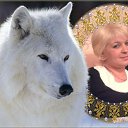 ���� �����, ������, 53 ���� - ��������� 23 ������ 2011 � ������ ���� ����������