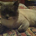 ���� ������, �����, 53 ���� - ��������� 19 ������ 2010 � ������ �������