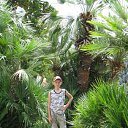 ���� Demon, �����, 27 ��� - ��������� 11 ���� 2013 � ������ ���� ����������