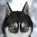 ���� User, ������, 40 ��� - ��������� 24 ������� 2011 � ������ ���� ����������