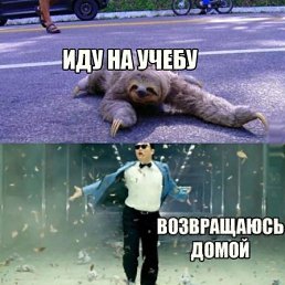 ���� ������, ������ - ��������� 11 ��� 2013