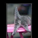 ���� ~������~, ������, 46 ��� - ��������� 5 ������� 2013 � ������ ���� ����������