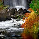 ���� ������, �����������, 40 ��� - ��������� 25 ���� 2010 � ������ �����������...................�