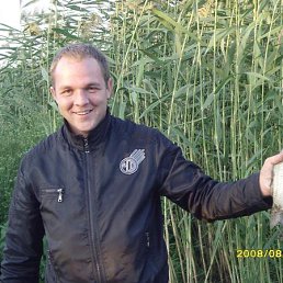 ���� ��������, ���������, 42 ���� - ��������� 6 ��� 2012