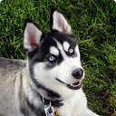 ���� "@����", �����-���������, 25 ��� - ��������� 6 ������� 2010 � ������ ��@��� �@��� �@��Ȼ