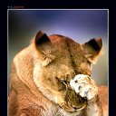 ���� ������, �������, 29 ��� - ��������� 24 ������� 2010 � ������ ���� ����