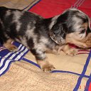 ���� &deg;&bull;*������&deg;&bull;*, ����������, 23 ���� - ��������� 3 ���� 2010 � ������ ��������!�