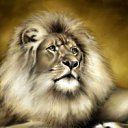 ���� ����, ���������, 50 ��� - ��������� 17 ������ 2012 � ������ ���� ����������