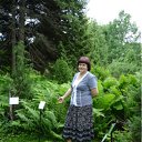 ���� �������, ����� - ��������� 1 ���� 2012 � ������ ���� ����������