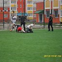 ���� ������, ������, 41 ��� - ��������� 24 ����� 2013 � ������ ���� ����������